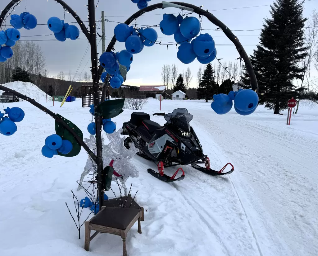 SledMagazine.com : 2026 Polaris INDY VR1 650