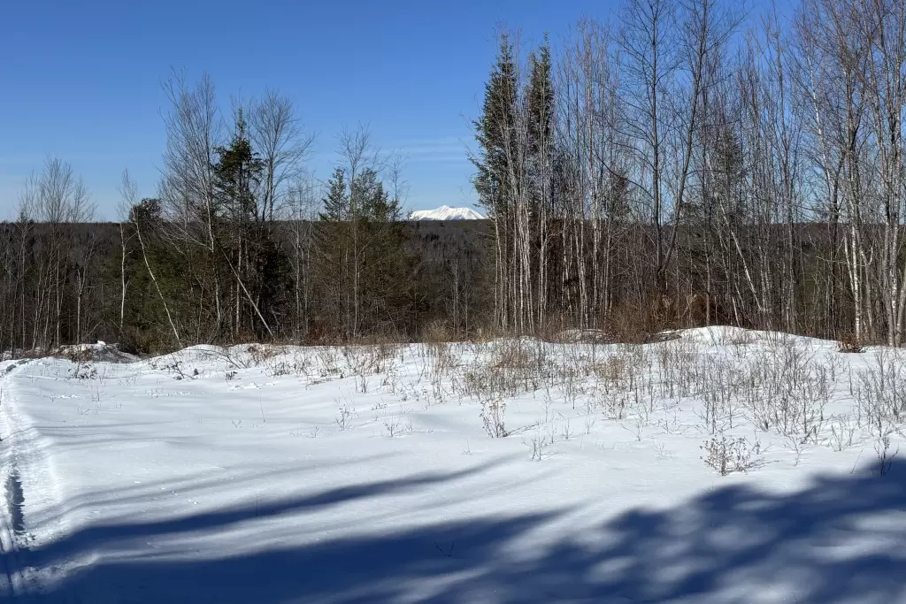 SledMagazine.com : Maine part 2
