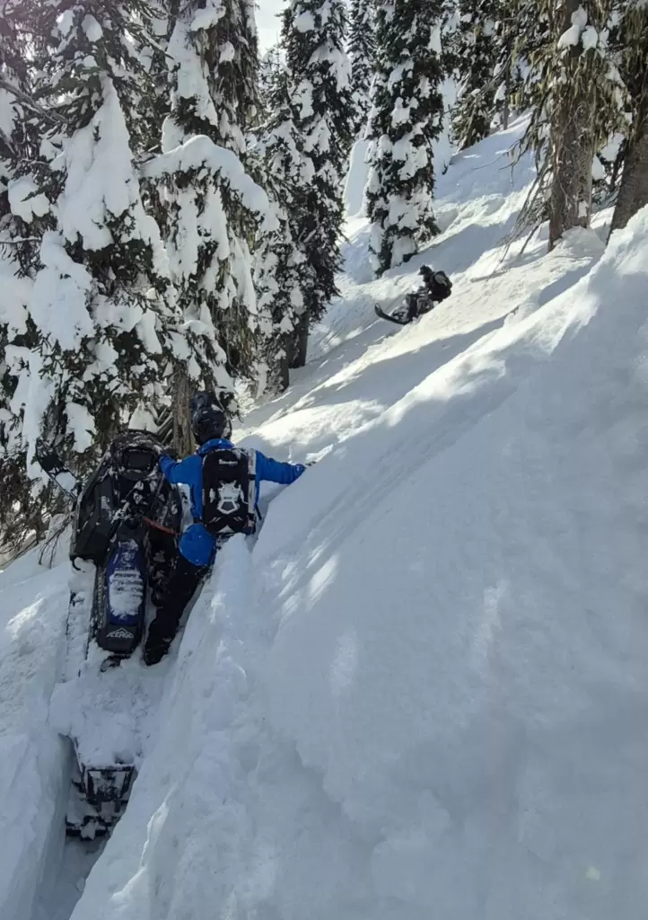 SledMagazine.com : Revelstoke / Yves Picard