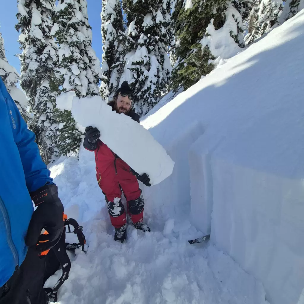 SledMagazine.com : Revelstoke / Yves Picard
